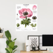 Klassieke Bloem Anatomie Kunst | Botanische Studie Poster (Thuiskantoor)