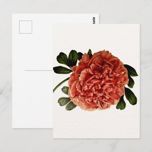 Klassieke  bloesem briefkaart (Voorkant / Achterkant)