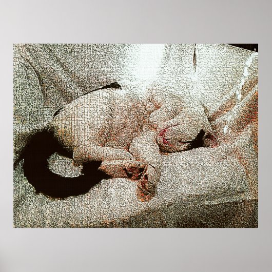 Klassieke Bob Poster (Voorkant)