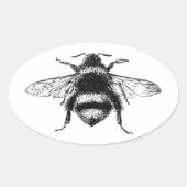 Klassieke borrelbijen ovale sticker (Voorkant)
