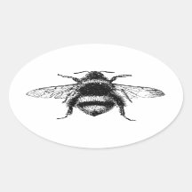 Klassieke borrelbijen