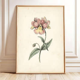 Klassieke Botanische Antieke Muurkunst Print