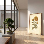 Klassieke Botanische Chrysanthemum Kunst Canvaspri Poster