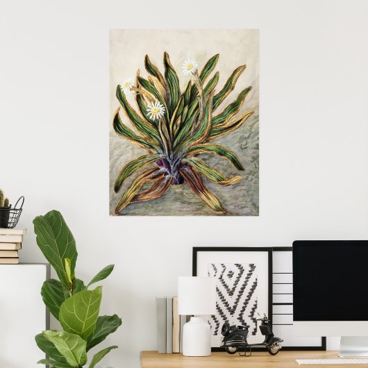 Klassieke botanische illustratie van het bergmadel poster (Thuiskantoor)