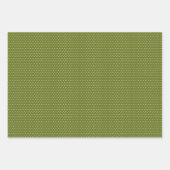 Klassieke Botanische Poinsettia Floral Art Pattern Inpakpapier Vel (Voorkant 3)