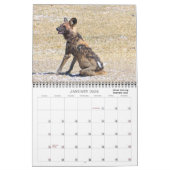 KLASSIEKE BOTSWANA FOTO SAFARI KALENDER (Jan 2026)