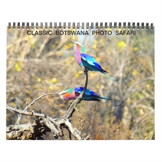 KLASSIEKE BOTSWANA FOTO SAFARI KALENDER (Hoes)