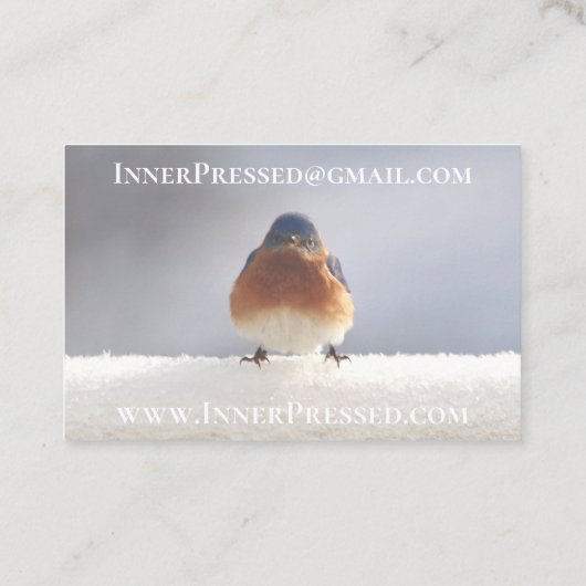 Klassieke camera met foto, fotograaf visitekaartje (Achterkant)