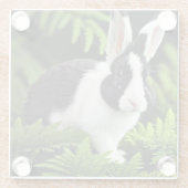 Klassieke charme: het zwarte en witte konijn glazen onderzetter (Achterkant)