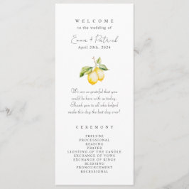 Klassieke Citrus Lemon Summer Wedding Programmakaart