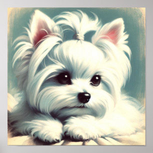 Klassieke Cute Maltese Schilderij Poster