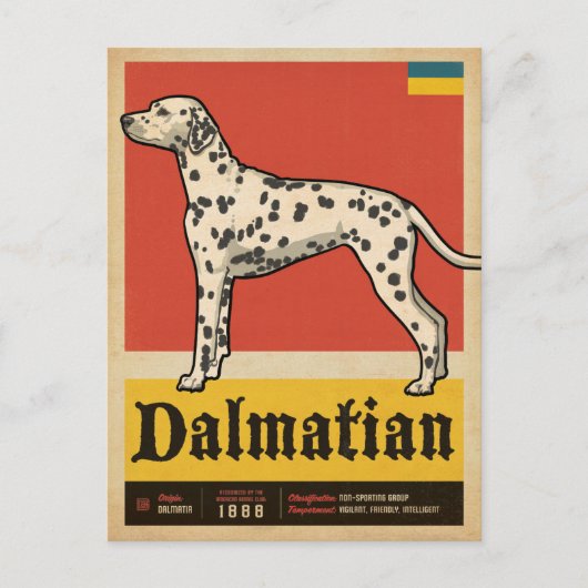 Klassieke  Dalmation Briefkaart (Voorkant)