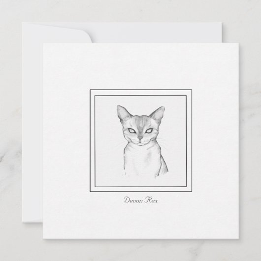 Klassieke Devon Rex Cat Chalk-kaart Notitiekaartje (Voorkant)