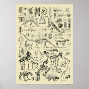 Klassieke dinosaurusbot fossiele kunst poster