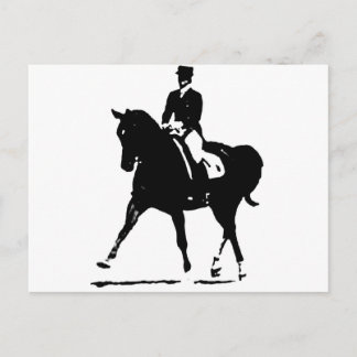 Klassieke dressage 7 briefkaart