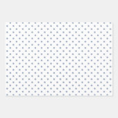 Klassieke Dusty Blue Gingham Polka Dots Patroonmix Inpakpapier Vel (Voorkant 2)