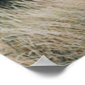 Klassieke Elegante Koppels Douche Fototeken Poster (Hoek)