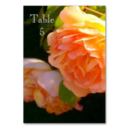 Klassieke elegante oranje perzikrozen kaart (Voorkant)