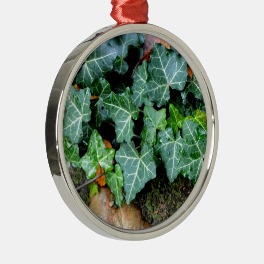 klassieke Engelse klimop en veldsteen Metalen Ornament (Rechts)