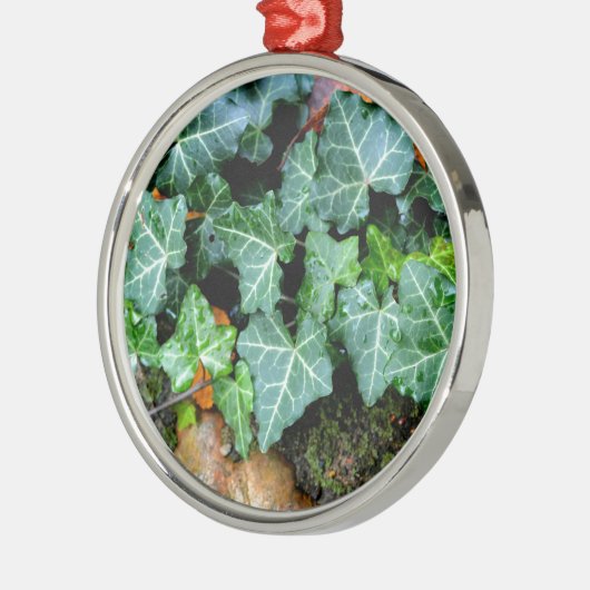 klassieke Engelse klimop en veldsteen Metalen Ornament (Links)