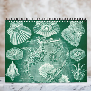 Klassieke Ernst Haeckel, Biologie, Botanica, Weten Kalender