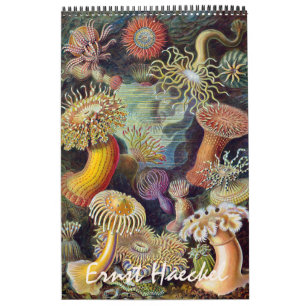 Klassieke Ernst Haeckel, Biologie, Botanica, Weten Kalender