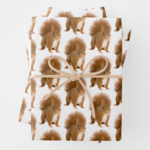 Klassieke Fluffy Rode Eekhoorn Cadeaupapier
