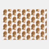 Klassieke Fluffy Rode Eekhoorn Cadeaupapier (Voorkant)