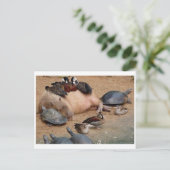 Klassieke foto-Briefkaart Briefkaart (Staand voorkant)