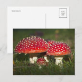 Klassieke foto-Briefkaart Briefkaart (Voorkant / Achterkant)