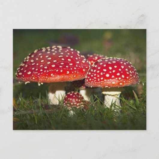 Klassieke foto-Briefkaart Briefkaart (Voorkant)