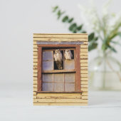 Klassieke foto-Briefkaart Briefkaart (Staand voorkant)