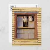 Klassieke foto-Briefkaart Briefkaart (Voorkant / Achterkant)