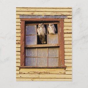 Klassieke foto-Briefkaart Briefkaart