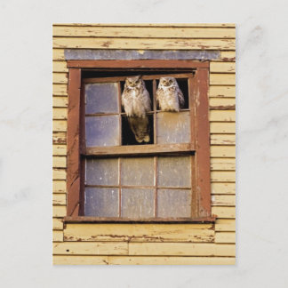 Klassieke foto-Briefkaart Briefkaart