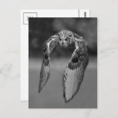 Klassieke foto-Briefkaart Briefkaart (Voorkant / Achterkant)