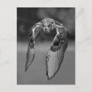 Klassieke foto-Briefkaart Briefkaart