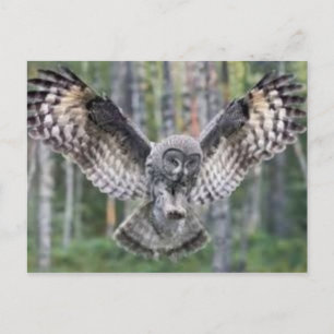 Klassieke foto-Briefkaart Briefkaart