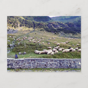 Klassieke foto-Briefkaart Briefkaart