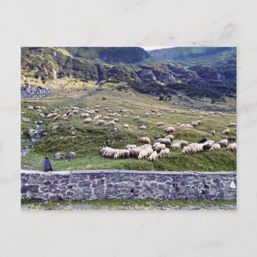 Klassieke foto-Briefkaart Briefkaart (Voorkant)