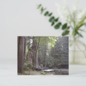 Klassieke foto-Briefkaart Briefkaart (Staand voorkant)