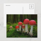 Klassieke foto-Briefkaart Briefkaart (Voorkant / Achterkant)