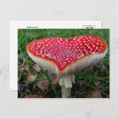 Klassieke foto-Briefkaart Briefkaart (Voorkant / Achterkant)