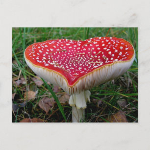 Klassieke foto-Briefkaart Briefkaart