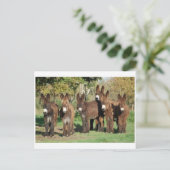 Klassieke foto-Briefkaart Briefkaart (Staand voorkant)