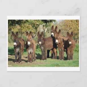 Klassieke foto-Briefkaart Briefkaart