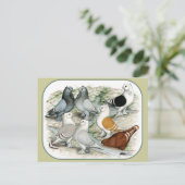 Klassieke Frill Barred Pigeons Briefkaart (Staand voorkant)