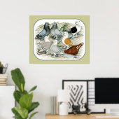 Klassieke Frill Barred Pigeons Poster (Thuiskantoor)