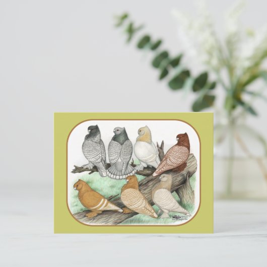 Klassieke Frill Pigeons Blondinettes Briefkaart (Staand voorkant)