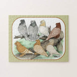 Klassieke Frill Pigeons Blondinettes Legpuzzel